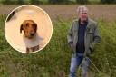 Jeremy Clarkson had to take his dig Sansa to the vets after an eye injury.