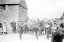 A war office purchasing party inspects a horse in Chipping Norton in 1914. Picture: Oxfordshire County Council, Oxfordshire History Centre