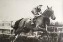 Paddy Fitzgerald, above, won the 1955 Welsh Grand National