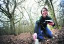 Jo-Anne Croft, of Earthwatch, at work on the charity’s climate change research in Wytham Woods, near Oxford