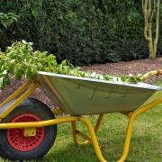 Trading standards have issued the warning as more people begin gardening ahead of summer