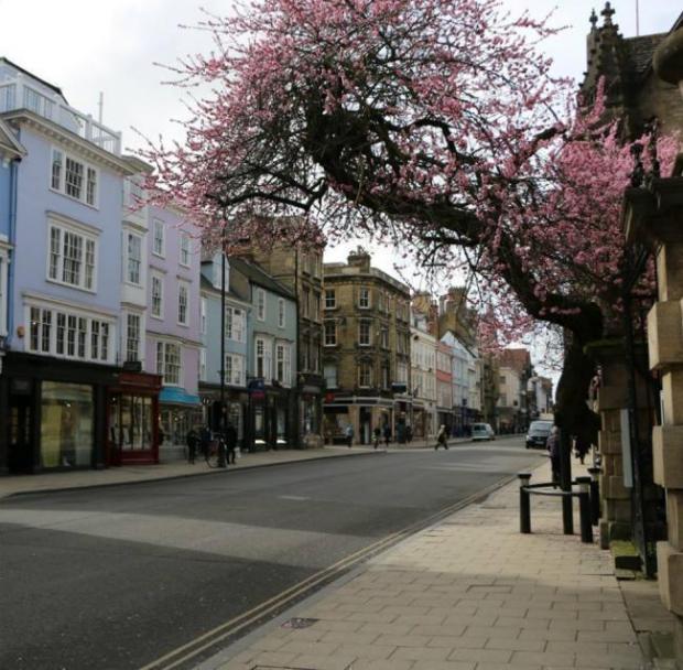 The almond tree in Oxford High Street 