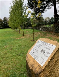 The plaque in Brize Norton and poplar trees to commemorate war victims