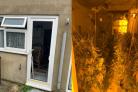 Pictures shared by the police show how the inside of the property has been transformed to house a number of cannabis plants
