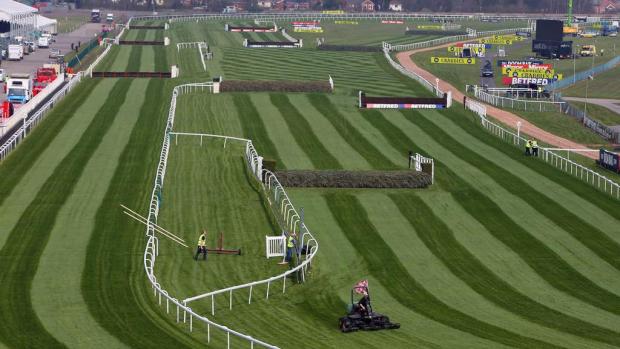 thisisoxfordshire: Aintree Racecourse (PA)