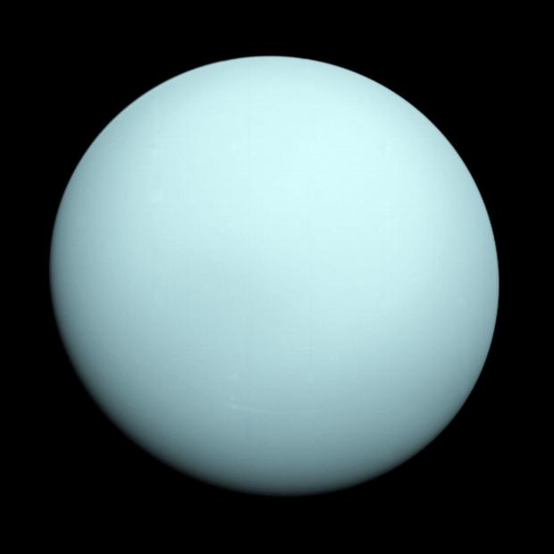 thisisoxfordshire: Uranus as seen by NASA Voyager 2. Picture: NASA/JPL-Caltech