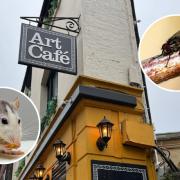 The Art Cafe in Oxford had mice and flies in a recent inspection.