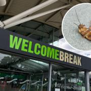 There has been a cockroach infestation at the Oxford services.