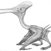 University of Portsmouth artwork of a Jurassic pterosaur.